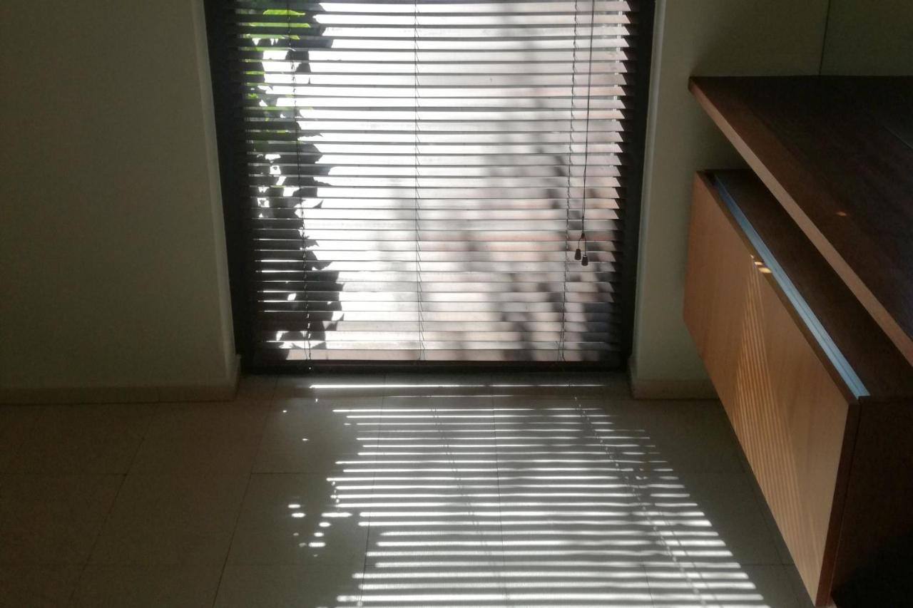 קרקוב Apartment With Garden In City Center מראה חיצוני תמונה